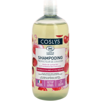 Shampooing protecteur de couleur 500ml